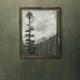 Stormy Mountain Black en White Photo Glossy Perfect Poster