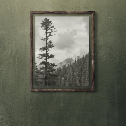 Stormy Mountain Black en White Photo Glossy Perfect Poster