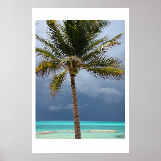 Stormy Paradise Poster (Voorkant)