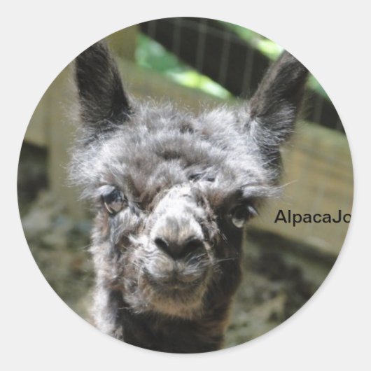 Stormy Ronde Sticker (Voorkant)