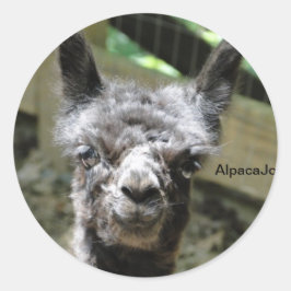 Stormy Ronde Sticker