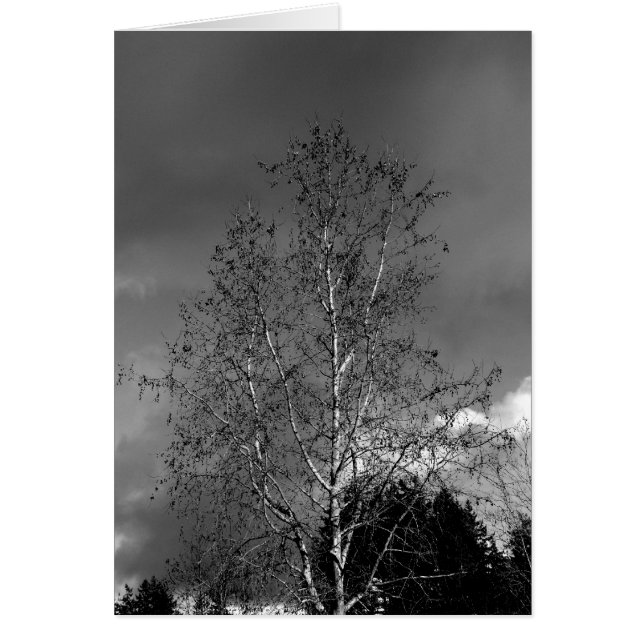 Stormy Skies (Voorkant)