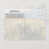 Stormy Sky Fossil Butte National Monument Wyoming Briefkaart (Achterkant)