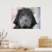 Stormy the Newfoundland Poster (Keuken)