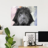 Stormy the Newfoundland Poster (Thuiskantoor)