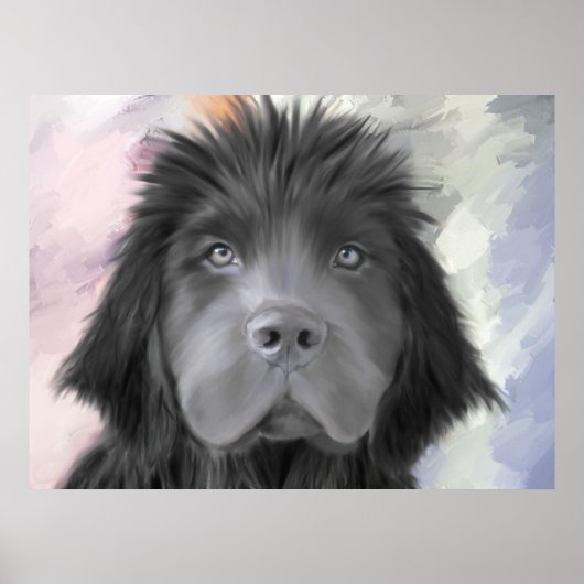 Stormy the Newfoundland Poster (Voorkant)