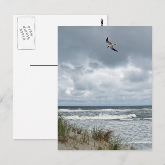 Stormy Zee Briefkaart (Voorkant / Achterkant)