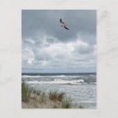 Stormy Zee Briefkaart (Voorkant)