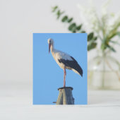 Stortel op paal briefkaart (Staand voorkant)