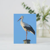 Stortel op paal briefkaart (Staand voorkant)