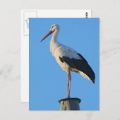 Stortel op paal briefkaart (Voorkant / Achterkant)