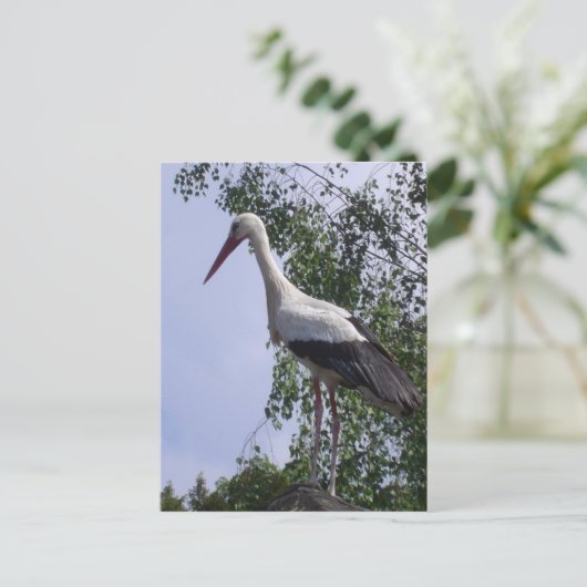 Stortplaats Straatsburg Briefkaart (Staand voorkant)