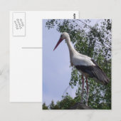 Stortplaats Straatsburg Briefkaart (Voorkant / Achterkant)