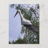 Stortplaats Straatsburg Briefkaart (Voorkant)