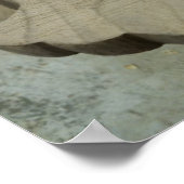 Story Gourd Poster- Neck Poster (Hoek)