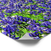 Storybook Bluebonnet Flowers Photographic Art Poster (Hoek)