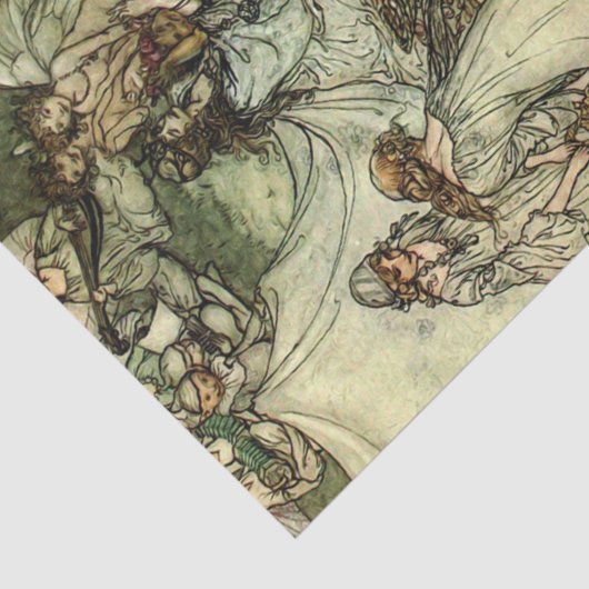 Storybook-dames 2 debetpapieren tissuepapier (Detail)