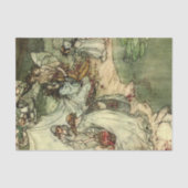 Storybook-dames 2 debetpapieren tissuepapier (Voorkant)