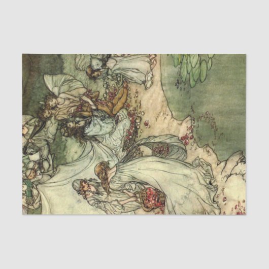 Storybook-dames 2 debetpapieren tissuepapier (Voorkant)