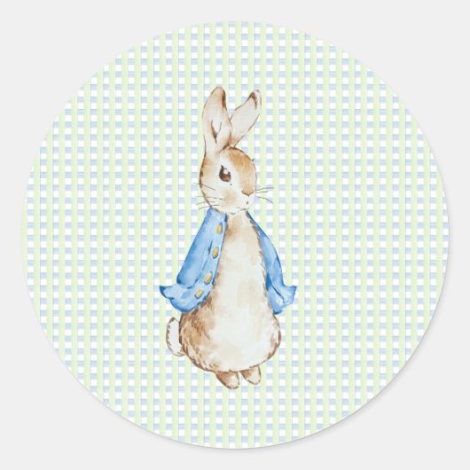 Storybook Garden Rabbit Inspired Baby Shower Ronde Sticker (Voorkant)