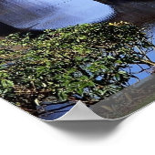 Stourhead Garden, Wiltshire, Engeland Poster (Hoek)