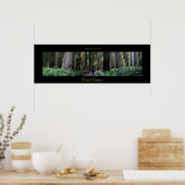 Stout Grove Redwood Trees Poster (Keuken)
