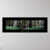 Stout Grove Redwood Trees Poster (Voorkant)