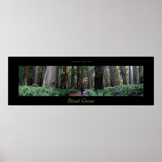 Stout Grove Redwood Trees Poster (Voorkant)