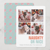 Stout of Braaf Eenvoudig Huisdier 4 Foto's Vakanti Feestdagenkaart (Voorkant / Achterkant)