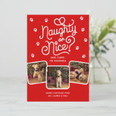 Stout of Braaf Grappige Cute Huisdier Hond Kat 3 F Feestdagenkaart (Staand voorkant)