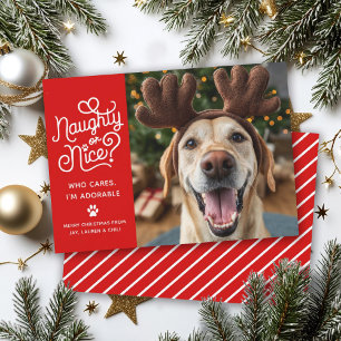 Stout of Braaf Grappige Schattige Huisdier Hond Ka Feestdagenkaart
