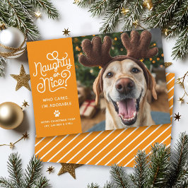 Stout of Braaf Grappige Schattige Huisdier Hond Ka Feestdagenkaart