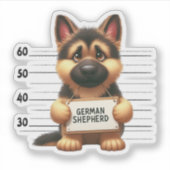 Stoute Duitse herder Sticker (Voorkant)