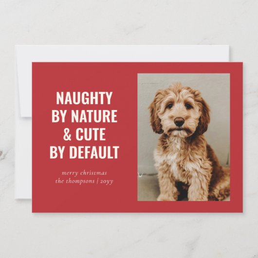 Stoute en Schattigee Funny Dog Kerstfoto Feestdagenkaart (Voorkant)