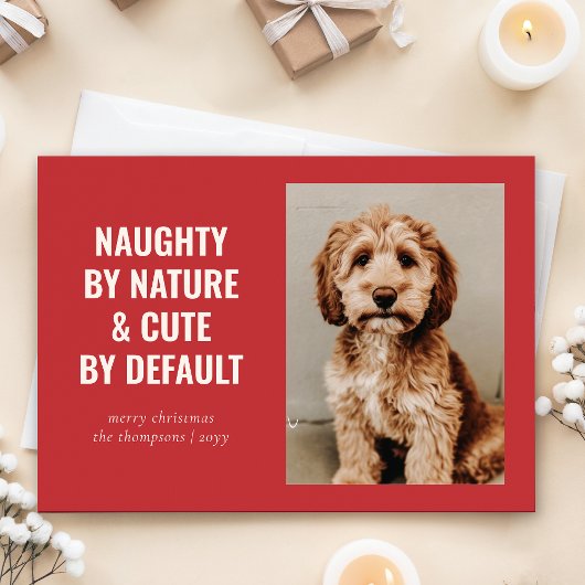 Stoute en Schattigee Funny Dog Kerstfoto Feestdagenkaart