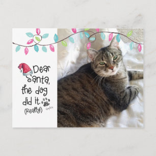 Stoute Kat Grappige Lieve Sint Brief Foto Kat Naam Feestdagenkaart