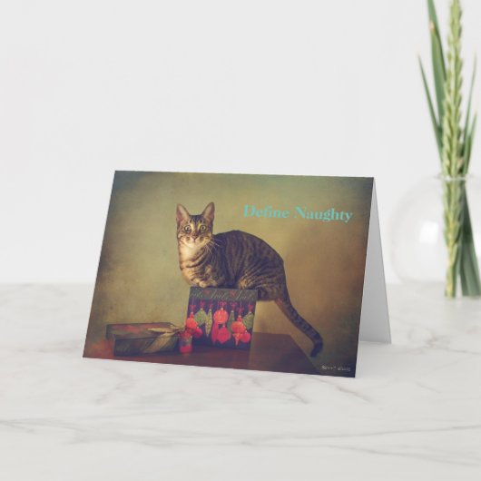 Stoute kat kerstkaart feestdagen kaart (Voorkant)