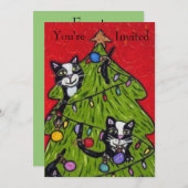 Stoute katten klimmen kerstboom rood groen kaart (Voorkant / Achterkant)