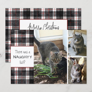 Stoute Lijst Kat 3 Foto's Kerst Plaid Feestdagenkaart