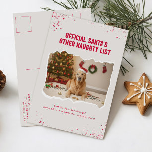 Stoute Lijst Kerstman Hoed Hond Foto Kerstmis Briefkaart