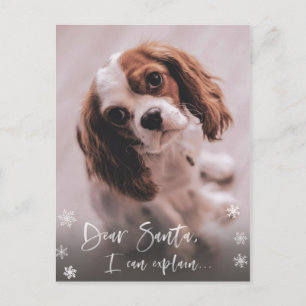 Stoute lijst, Kerstman Ik kan Kerstfoto uitleggen Briefkaart