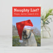 Stoute lijst? Nooit van gehoord grapje foto Feestdagenkaart (Staand voorkant)