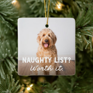 Stoute lijst schattig leuk twee foto huisdier keramisch ornament