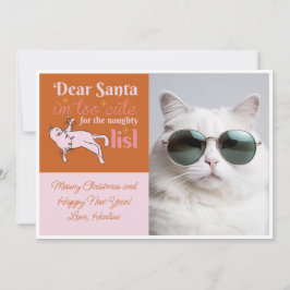 Stoute lijst Schattigee kattenfoto twee tonen Feestdagenkaart