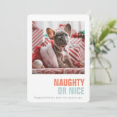 Stoute of leuke eenvoudige huisdier vakantie foto feestdagenkaart (Staand voorkant)