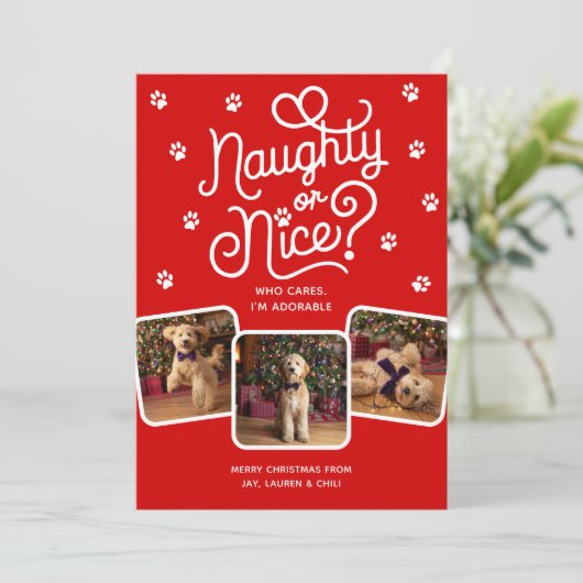 Stoute of Leuke Grappige Schattigee Pet Dog Cat 3  Feestdagenkaart (Staand voorkant)