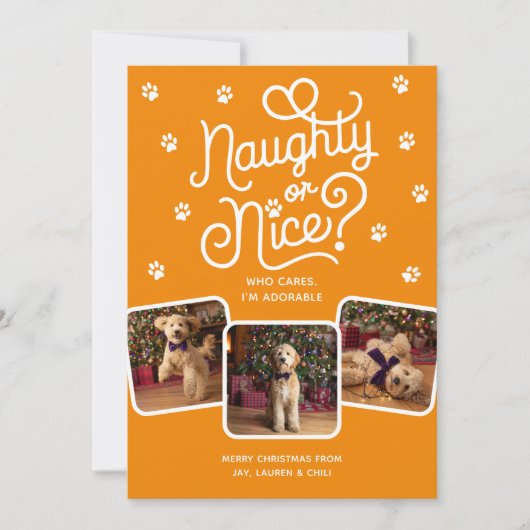 Stoute of Leuke Grappige Schattigee Pet Dog Cat 3 Feestdagenkaart (Voorkant)