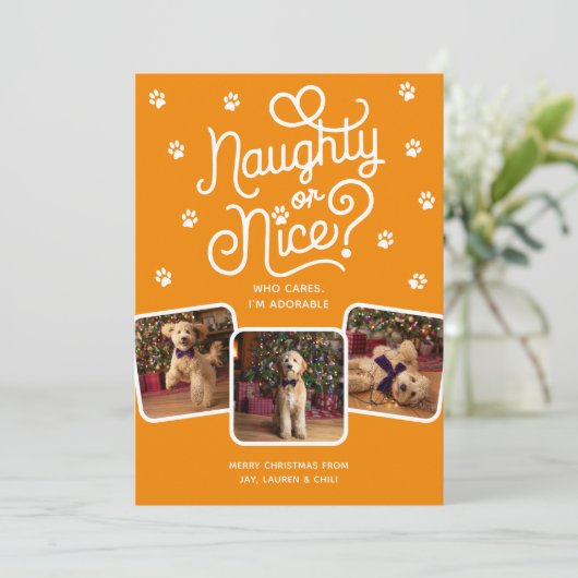 Stoute of Leuke Grappige Schattigee Pet Dog Cat 3 Feestdagenkaart (Staand voorkant)