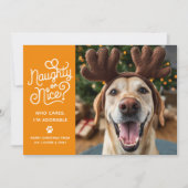 Stoute of Leuke Grappige Schattigee Pet Dog Cat Fo Feestdagenkaart (Voorkant)