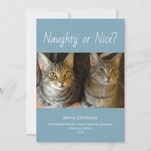 Stoute of leuke Schattigee katten Foto Familie Ker Feestdagenkaart (Voorkant)